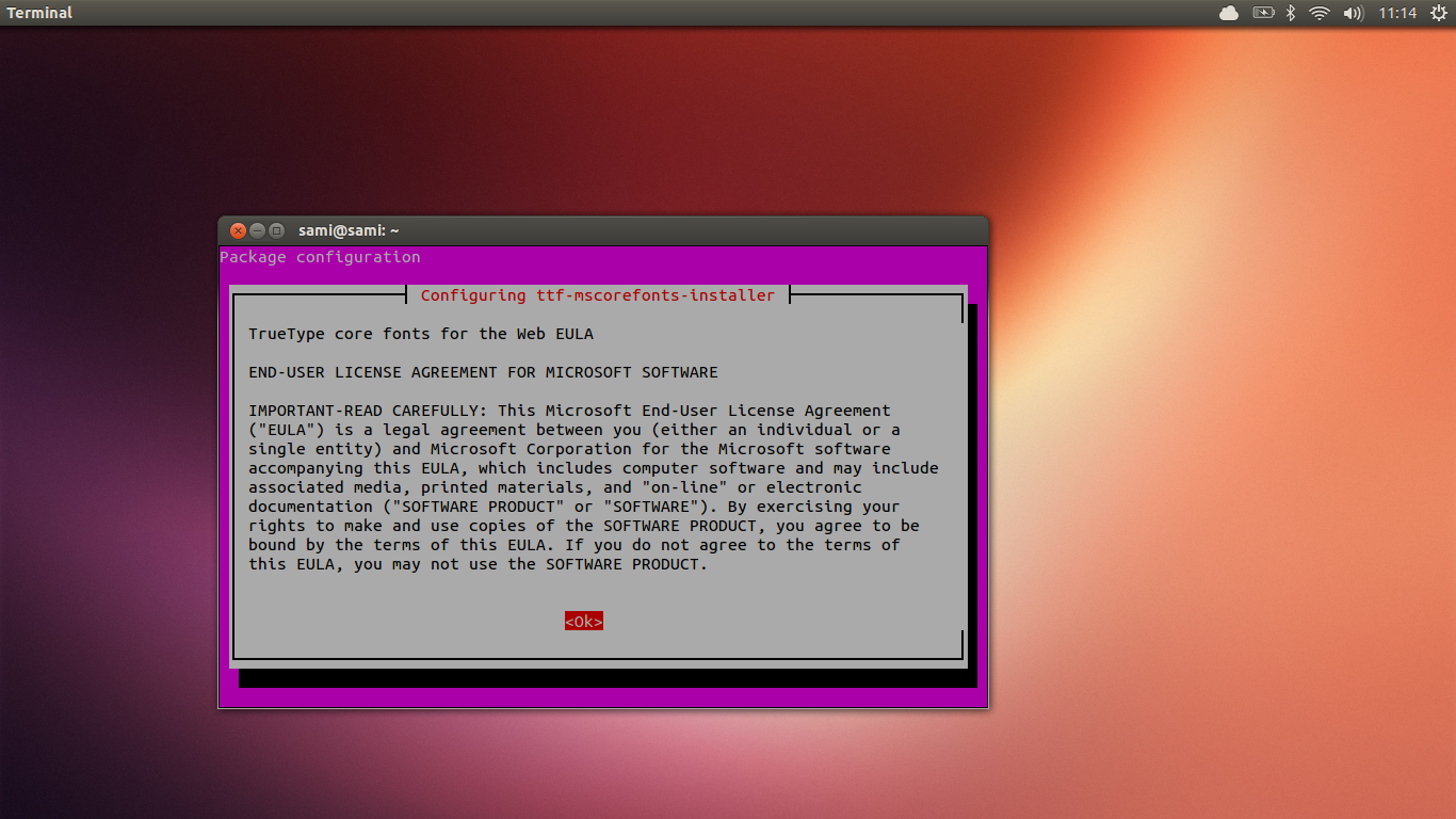 ubuntu 13.04
