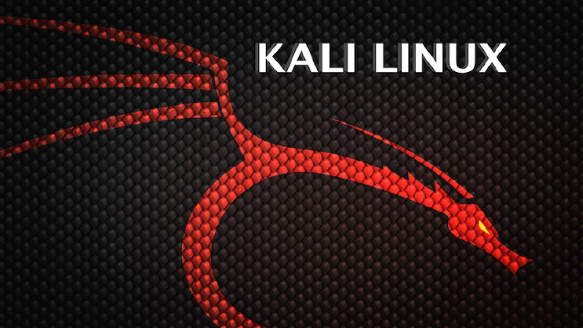 Kali Linux логотип